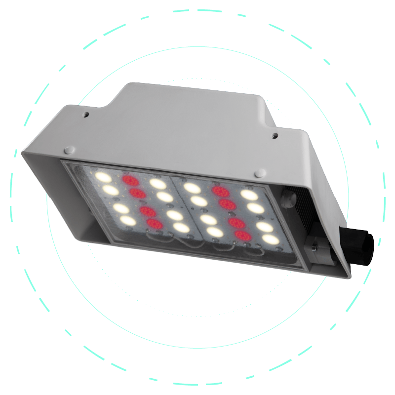 lamp-climalux-2022